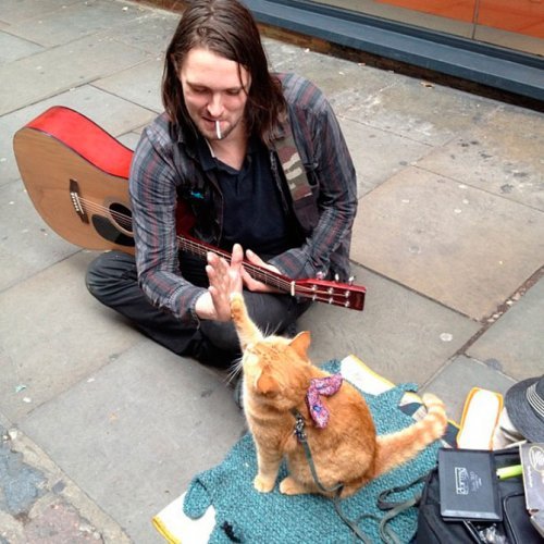 Обо всем - Уличный музыкант и кот по имени Боб